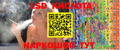 винт Кимры