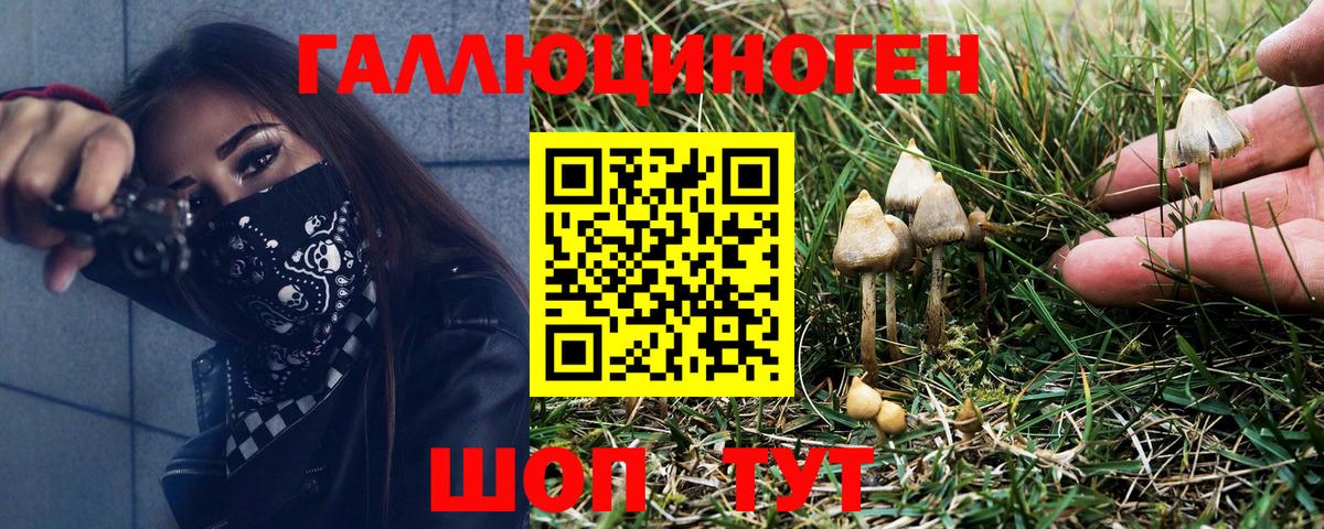 Хабаровск  Галлюциногенные грибы мухоморы  Вход с VPN 